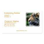 Tiger Picture Business Card