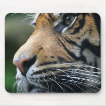 Tiger Picture Mouse Pad