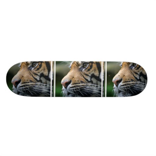 Tiger Picture Skateboard