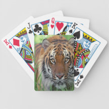 Tiger Poker Deck