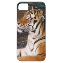 Tiger Portrait iPhone 5 Case