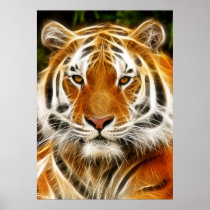 Tiger Portrait poster