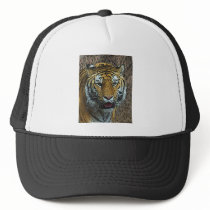 Tiger Poster