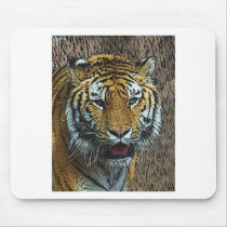 Tiger Poster