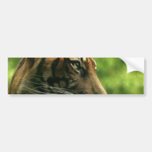 Tiger Profile Bumper Sticker