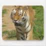 Tiger Prowl Mouse Pads