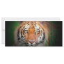 Tiger Rack Card