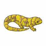 Tiger Salamander embroidered shirts