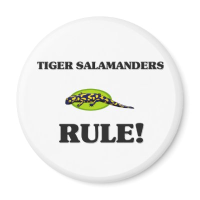 TIGER SALAMANDERS Rule! Fridge Magnet by AnimalShirts