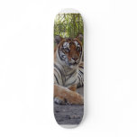 tiger-sarmoti-002 skateboards