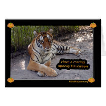 tiger-sermonti-003 cards