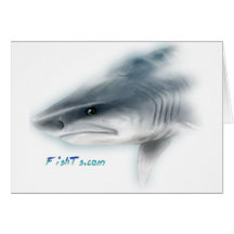 Tiger Shark Head Cards