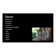 Tiger-sleeping-in-the-grass WILD ANIMALS BIG CATS Business Card Template