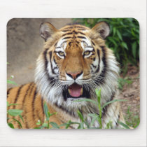 Tiger Smile Mouse Pad