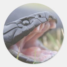 Tiger Snake Sticker