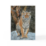 Tiger Snow Fall Holiday Card