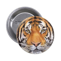 "Tiger Spot" on White, Watercolor Art Buttons