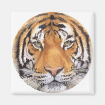 "Tiger Spot" on White, Watercolor Art Fridge Magnets