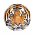 "Tiger Spot" on White, Watercolor Art t-shirts