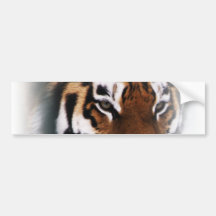 Tiger sticker bumper sticker