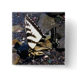 Tiger Swallowtail Butterfly 1 Buttons