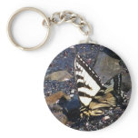 Tiger Swallowtail Butterfly 1 Key Chain