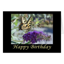 Tiger Swallowtail Butterfly Birthday Card