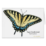 Tiger Swallowtail Butterfly Card