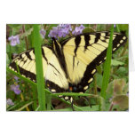 Tiger Swallowtail Butterfly Card