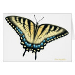 Tiger Swallowtail Butterfly Customisable Card
