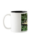 Tiger Swallowtail Butterfly mugs