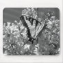 Tiger Swallowtail Mouse Pads