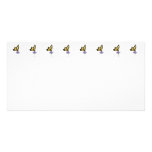 Tiger Swallowtail on Aster photo cards