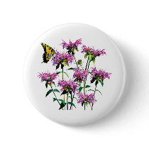 Tiger Swallowtail on Bee Balm