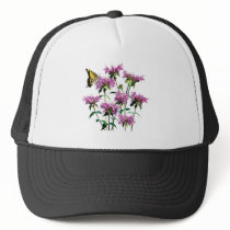 Tiger Swallowtail on Bee Balm