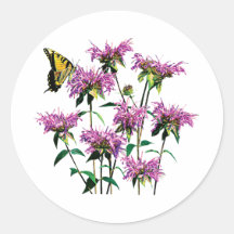 Tiger Swallowtail on Bee Balm Stickers