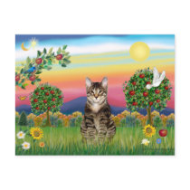 Tiger Tabby Cat 1 - Bright Country