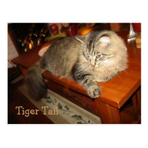 Tiger Tail Postcard