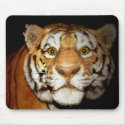 Tiger, Tiger In The Night II mousepads