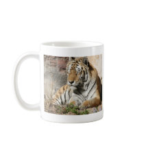 tiger wild animal zoo tigers coffee mug