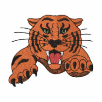 Tiger with claws