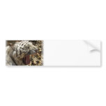 Tiger Yawn Bumper Sticker