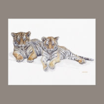 tigercubs postcards