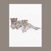 tigercubs postcards