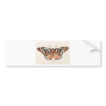 tiger's eye butterfly bumper stickers