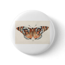 tiger's eye butterfly buttons