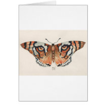 tiger's eye butterfly cards
