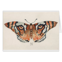 tiger's eye butterfly cards