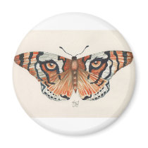 tiger's eye butterfly magnets