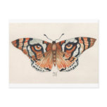 tiger's eye butterfly postcards